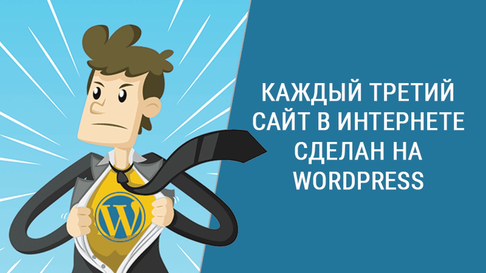 Image for the Основы Работы с WordPress: Путеводитель для Новичков